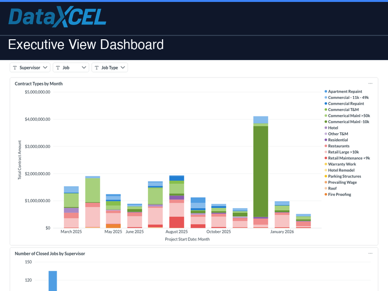 Executive View Dashboard